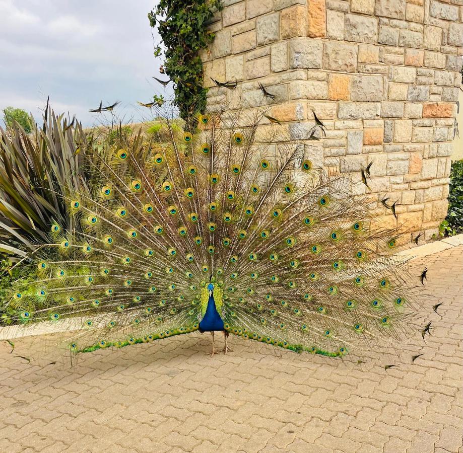 Porterfield Guest House, Champagne Valley Dış mekan fotoğraf